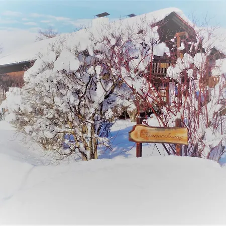 Haus Fellner**** Appartement *