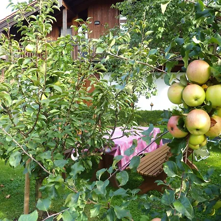Haus Fellner****